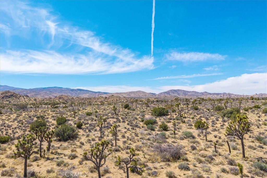 https://media.crmls.org/medias/6ab9e9bc-410c-45cd-a911-becbe9972641.jpg?preset=X-Large