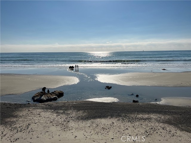 Detail Gallery Image 37 of 62 For 35697 Beach Rd, Dana Point,  CA 92624 - 2 Beds | 1 Baths
