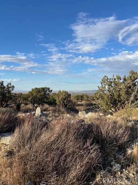 Detail Gallery Image 2 of 6 For 0 Yucca, Pinon Hills,  CA 92372 - – Beds | – Baths