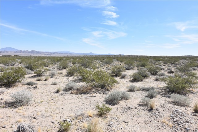 Detail Gallery Image 3 of 5 For 0 Camp Rock Rd., Lucerne Valley,  CA 92356 - – Beds | – Baths