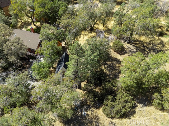 1700 S Way, Lake Arrowhead, CA 92352