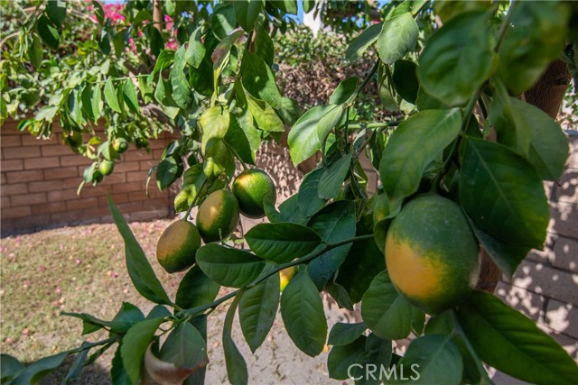 Detail Gallery Image 10 of 68 For 82774 Matthau Dr, Indio,  CA 92201 - 3 Beds | 2 Baths