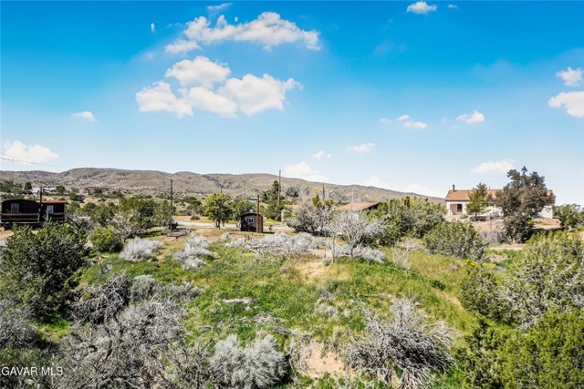 Detail Gallery Image 37 of 40 For 31720 96th Street East, Littlerock,  CA 93543 - 2 Beds | 2 Baths