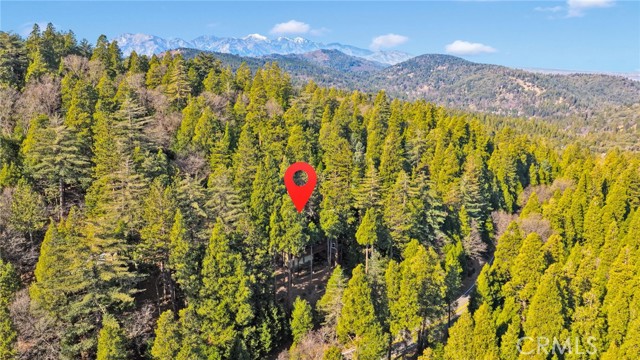 Detail Gallery Image 60 of 68 For 993 Mercury Way, Crestline,  CA 92325 - 2 Beds | 2 Baths