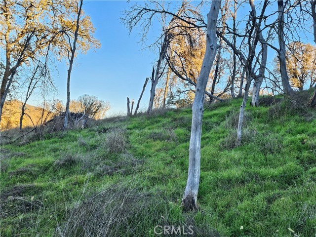 Detail Gallery Image 19 of 28 For 17150 Deer Park, Lower Lake,  CA 95457 - – Beds | – Baths