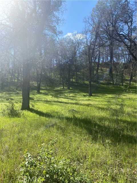 16587 Stagecoach Road, Corning, California 96021, ,Land,For Sale,16587 Stagecoach Road,CRFR23051146