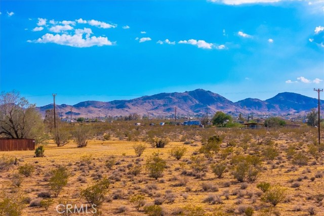 Detail Gallery Image 53 of 75 For 2250 Delgada Ave, Landers,  CA 92285 - 1 Beds | 1 Baths