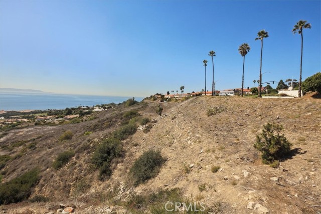 Open land on the right hand side of the property.