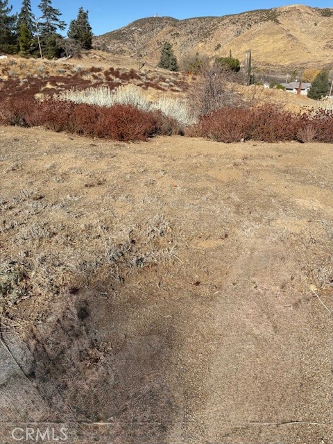 MLS #SR24250438 image #5