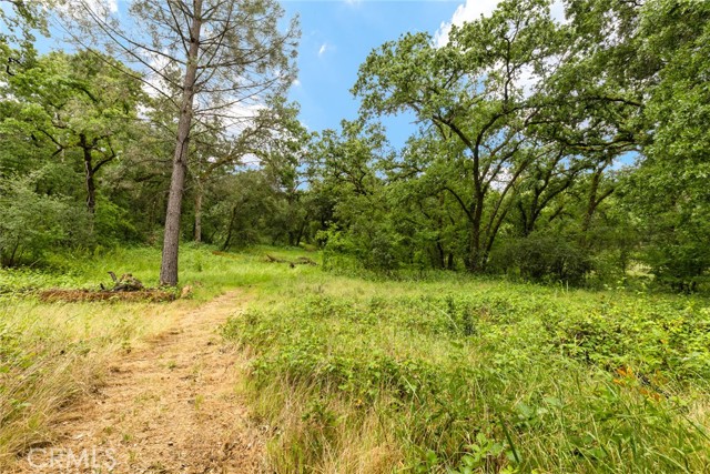 5338 Deception River Road, Chico CA: https://media.crmls.org/medias/6ae53d9d-873b-47a8-a678-429c6c3b62f3.jpg