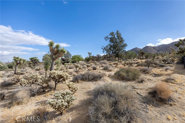 Detail Gallery Image 70 of 71 For 60383 Melton Trl, Joshua Tree,  CA 92252 - 3 Beds | 2 Baths