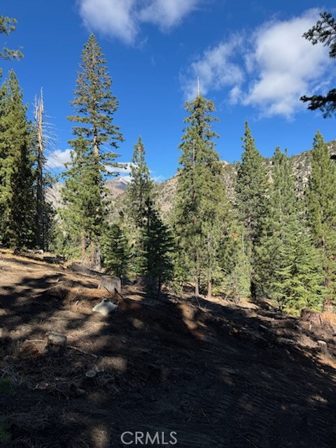 Drew Fenton | 0 Piute Dr June Lake CA | MLS: 7472150