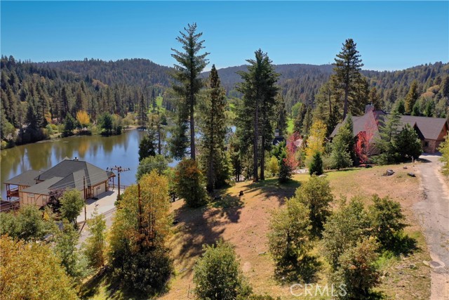 788 Brentwood Drive, Lake Arrowhead, California 92352, ,Land,For Sale,788 Brentwood Drive,CRRW23204974