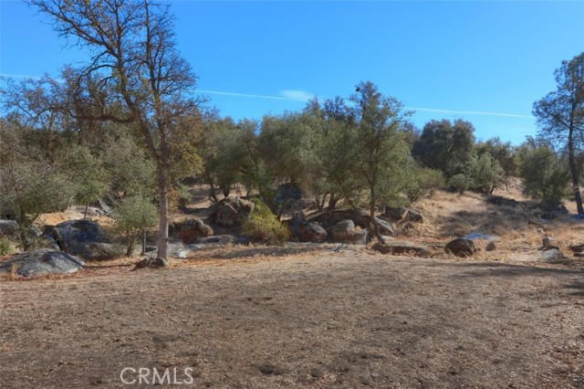 Detail Gallery Image 32 of 42 For 42800 Long Hollow Dr, Coarsegold,  CA 93614 - 3 Beds | 2 Baths