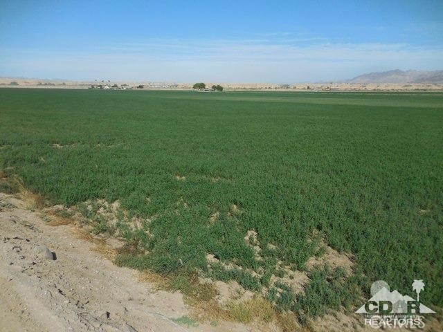 MLS #216029032DA image #16