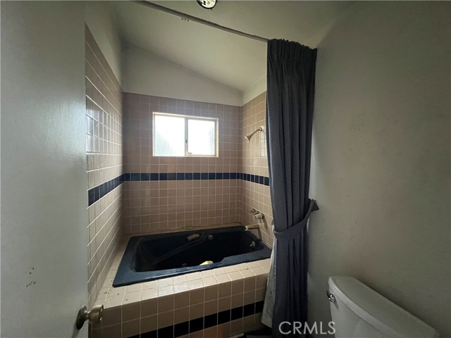 Primary tub and shower