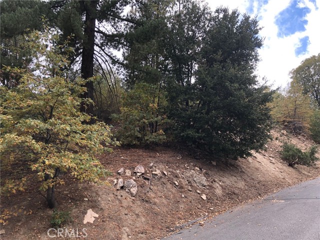 0 Madera, Lake Arrowhead, CA, 92352 0 Madera, Lake Arrowhead, CA, 92352