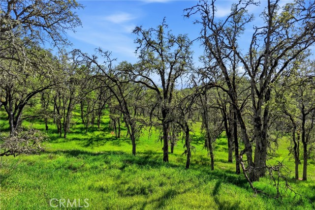 Detail Gallery Image 4 of 14 For 726 Park, Lakeport,  CA 95453 - – Beds | – Baths
