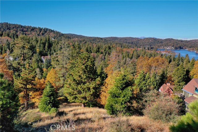 202 Hidden Forest Road, Lake Arrowhead, California 92352, ,Land,For Sale,202 Hidden Forest Road,CREV23214554