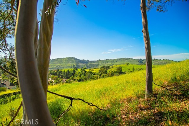 Detail Gallery Image 66 of 73 For 26841 Windsor Drive, San Juan Capistrano,  CA 92675 - 5 Beds | 4/1 Baths