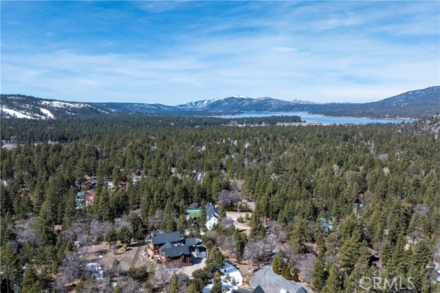 858 Fox Tower Way, Big Bear Lake CA: https://media.crmls.org/medias/6b00face-af20-4294-97df-93e592bc7fe3.jpg