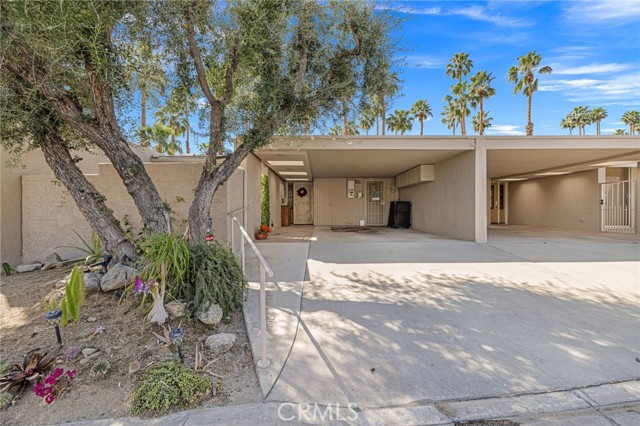 Image 32 of 45 For 73575 Encelia