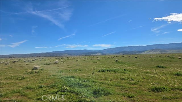 Detail Gallery Image 3 of 39 For 0 Avenue B-8 Vicinity 265th St W, –,  CA 93536 - – Beds | – Baths