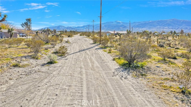 Detail Gallery Image 11 of 11 For 11786 Buckwheat Rd, Pinon Hills,  CA 92372 - – Beds | – Baths