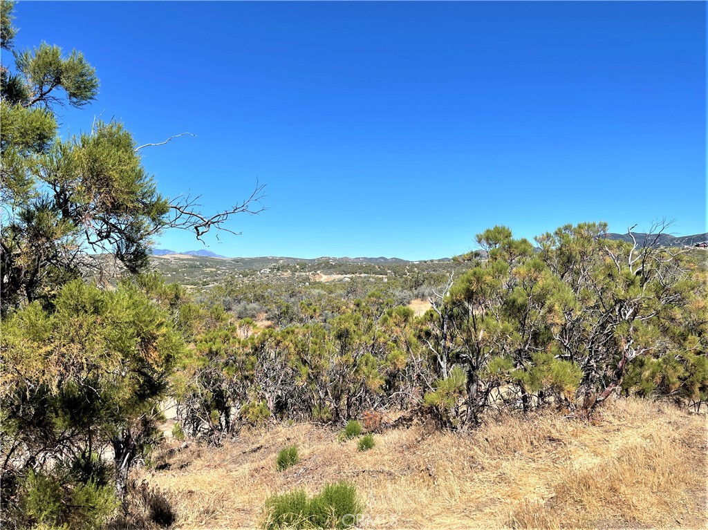 0 Martindale Drive, Aguanga, CA 92536