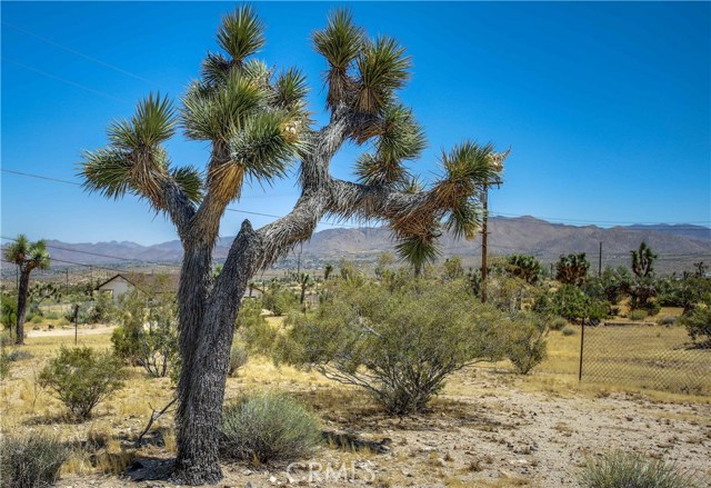 Detail Gallery Image 35 of 63 For 5407 Paradise View Rd, Yucca Valley,  CA 92284 - 3 Beds | 2 Baths