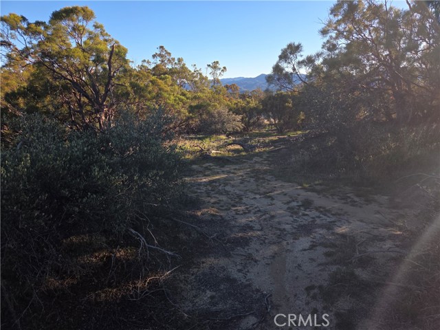 Detail Gallery Image 9 of 12 For 0 Everett, Anza,  CA 92539 - – Beds | – Baths