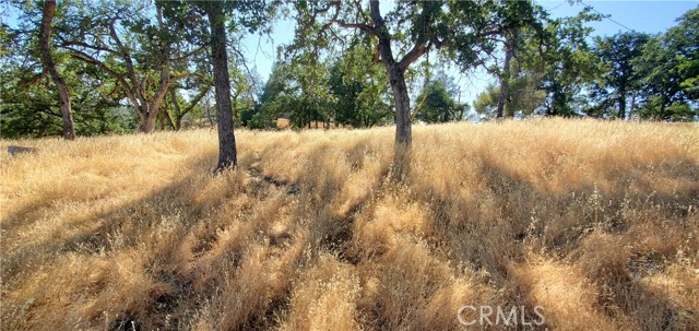 Front Image Thumbnail for CRSN26069342