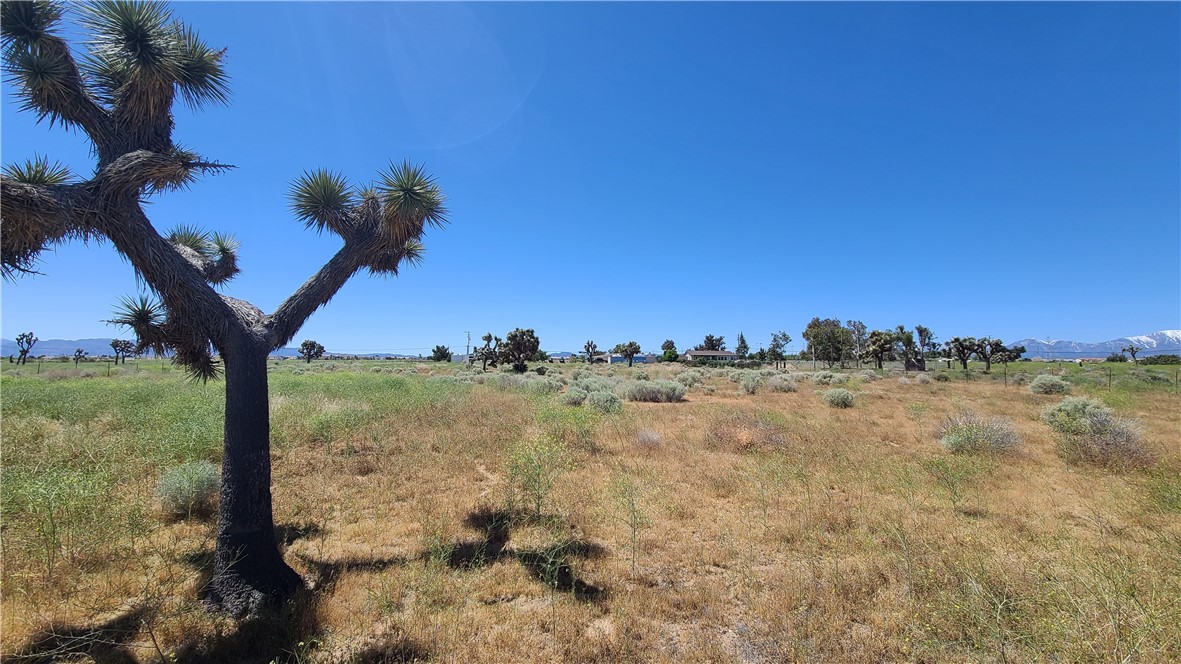 Detail Gallery Image 13 of 15 For 0 Vacant Land, Hesperia,  CA 92345 - – Beds | – Baths