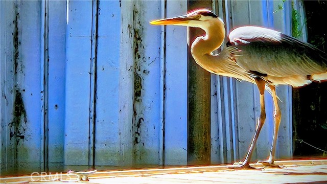 Detail Gallery Image 15 of 34 For 15198 Harbor, Clearlake,  CA 95422 - 2 Beds | 2 Baths