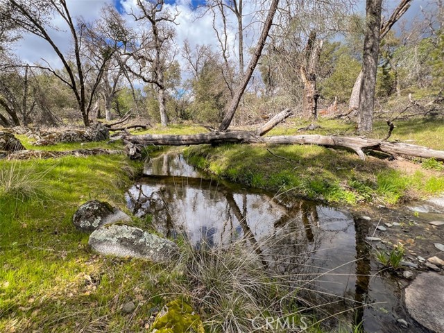 Detail Gallery Image 62 of 70 For 4683 Morningstar Ln, Mariposa,  CA 95338 - – Beds | – Baths