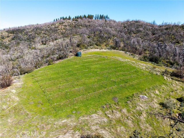 0 Big Ridge Road, Berry Creek CA: https://media.crmls.org/medias/6b1c41c8-4a89-42a9-bca9-a359c5423d6e.jpg