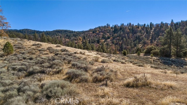 Detail Gallery Image 11 of 17 For 0 Alpine Forest Park, Tehachapi,  CA 92356 - – Beds | – Baths