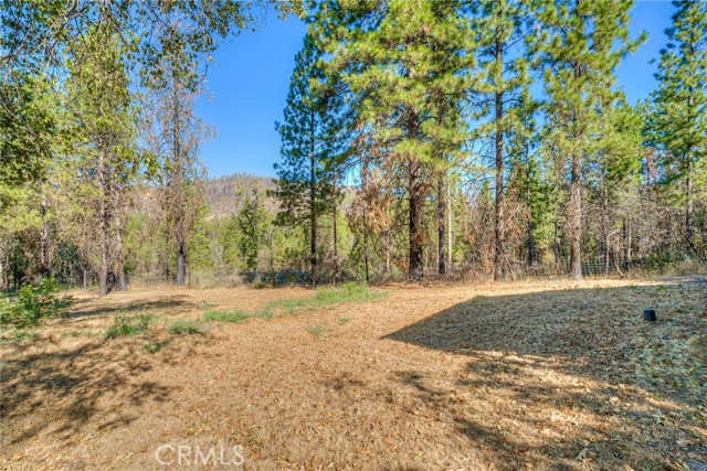 Detail Gallery Image 45 of 66 For 110 Black Bear Rd, Berry Creek,  CA 95916 - 2 Beds | 2 Baths