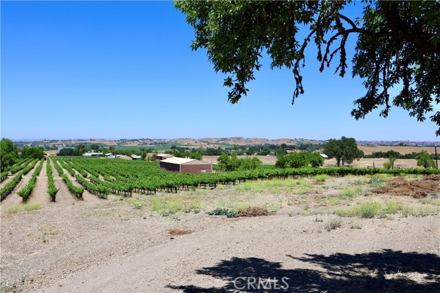 5575 El Pomar Drive, Templeton CA: https://media.crmls.org/medias/6b2b1e98-5caf-4f90-b110-176f09bfd997.jpg