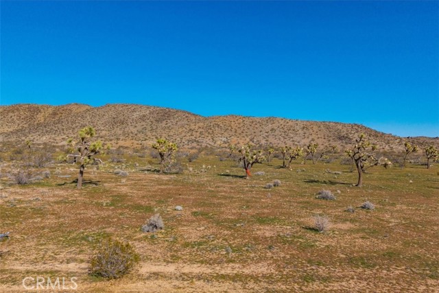 Detail Gallery Image 8 of 45 For 58459 Starlight Mesa Rd, Yucca Valley,  CA 92284 - – Beds | – Baths