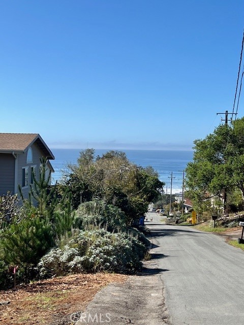 MLS #SC25268819 image #37