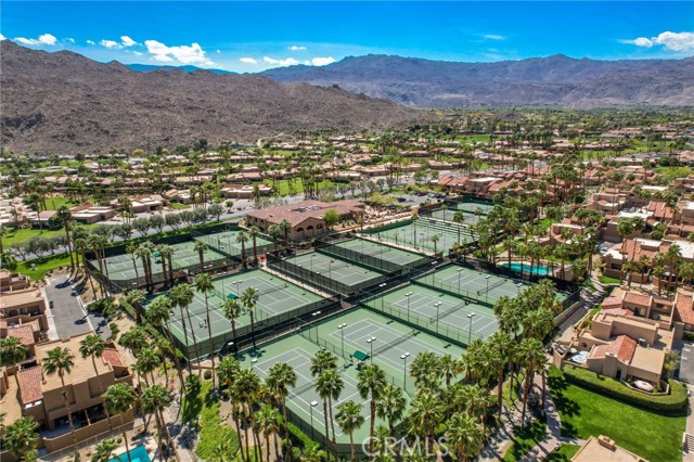 Image 40 of 45 For 73575 Encelia