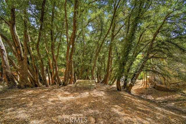 Detail Gallery Image 34 of 38 For 460 Delle Dr, Crestline,  CA 92325 - 4 Beds | 2 Baths