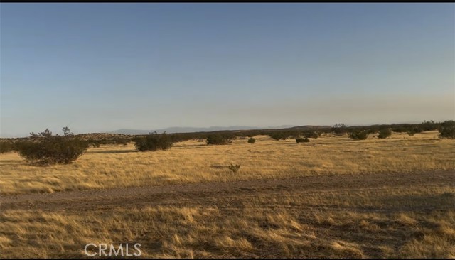 Front Image Thumbnail for CRPW26159477