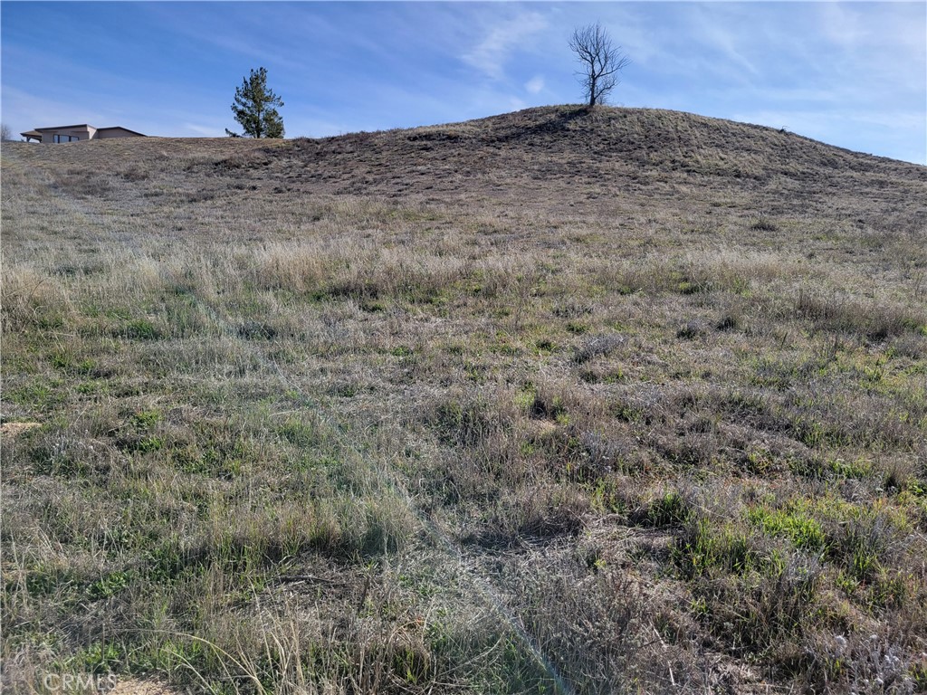 497 Rambling Lane