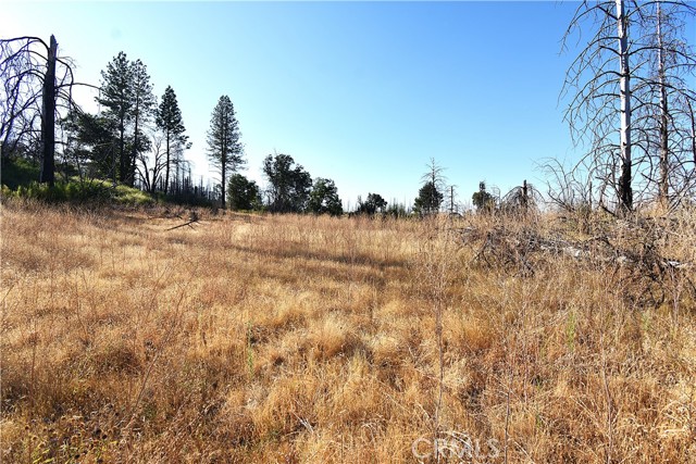 Detail Gallery Image 13 of 19 For 0 Centurion Way, Berry Creek,  CA 95916 - – Beds | – Baths