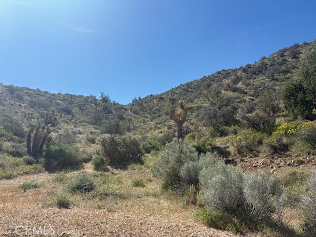 Detail Gallery Image 8 of 11 For 0 None, Pinon Hills,  CA 92372 - – Beds | – Baths