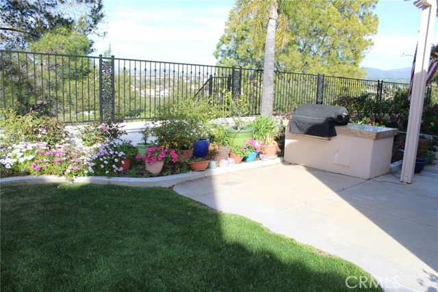 Rear Yard and BBQ View