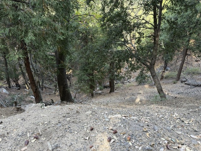 Detail Gallery Image 5 of 16 For 0 Mojave River Rd, Cedarpines Park,  CA 92322 - – Beds | – Baths