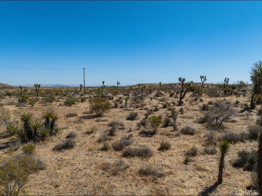 MLS #PW25145262 image #11